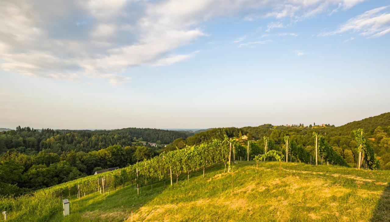 Weinzeit Chalets Гамлиц Екстериор снимка